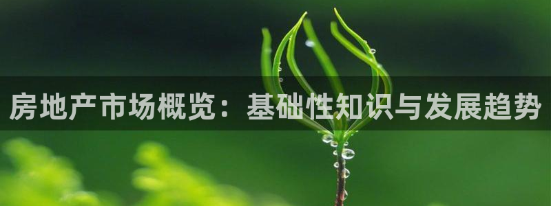 摩登3后7O667：房地产市场概览：基础性知识与发展趋势