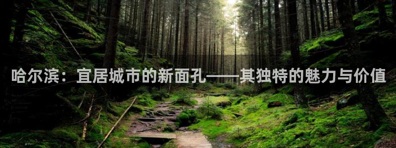 摩登7上7O667：哈尔滨：宜居城市的新面孔——其独特的魅力