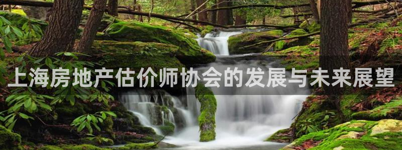 摩登系列摩登7：上海房地产估价师协会的发展与未来展望
