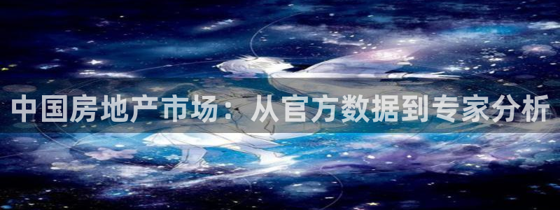 摩登7 lite：中国房地产市场：从官方数据到专家分析