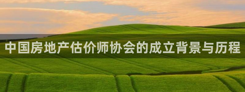 摩登7娱乐平台4：中国房地产估价师协会的成立背景与历程