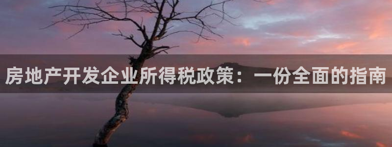 摩登7登录入口：房地产开发企业所得税政策：一份全面的指南