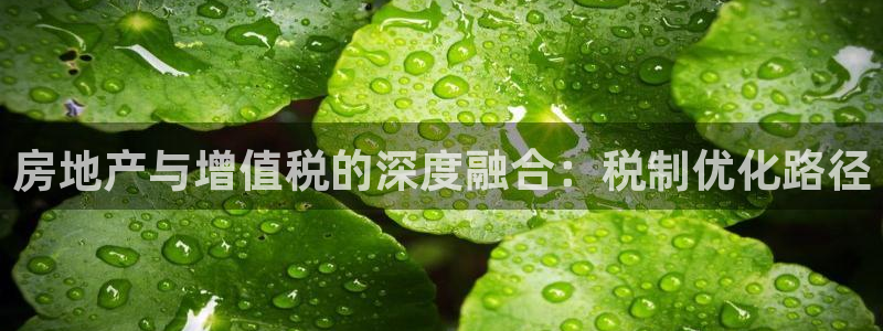 摩登7平台把7O777：房地产与增值税的深度融合：税制优化路