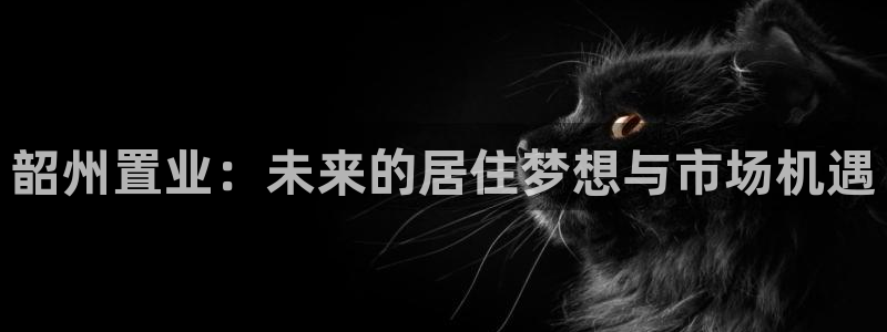 摩登7链接
