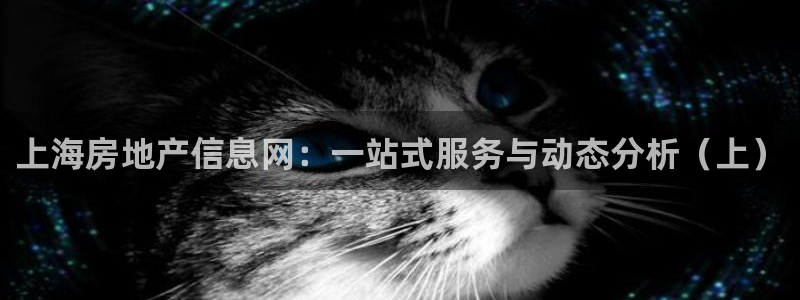 摩登5周这7O667：上海房地产信息网：一站式服务与动态分析