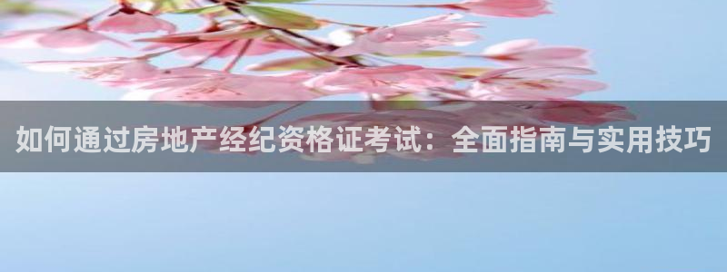 摩登4天7O667：如何通过房地产经纪资格证考试：全面指南与