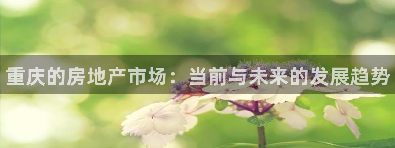 摩登7右：重庆的房地产市场：当前与未来的发展趋势