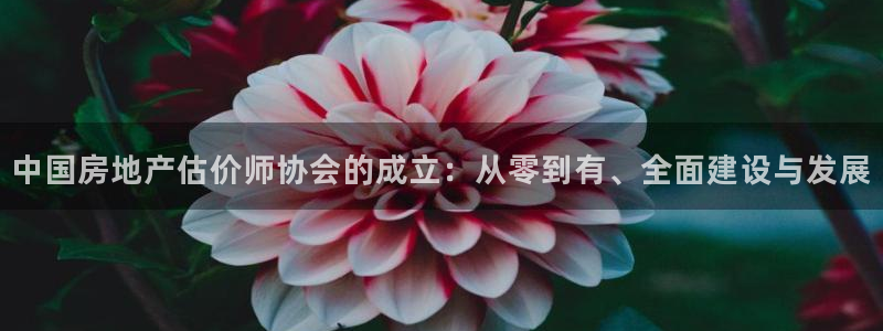 摩登7平台把7O777：中国房地产估价师协会的成立：从零到有