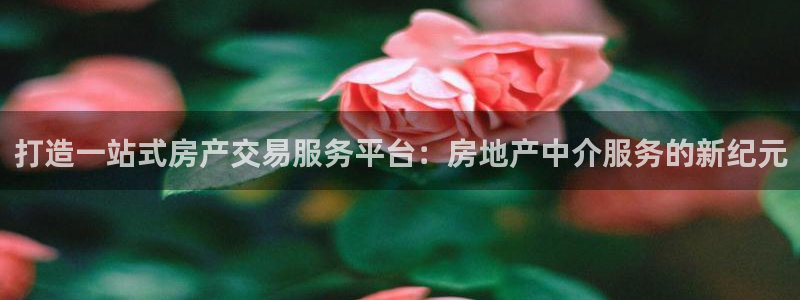 摩登6地7O667