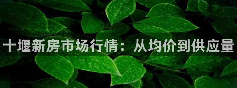 摩登7是什么：十堰新房市场行情：从均价到供应量