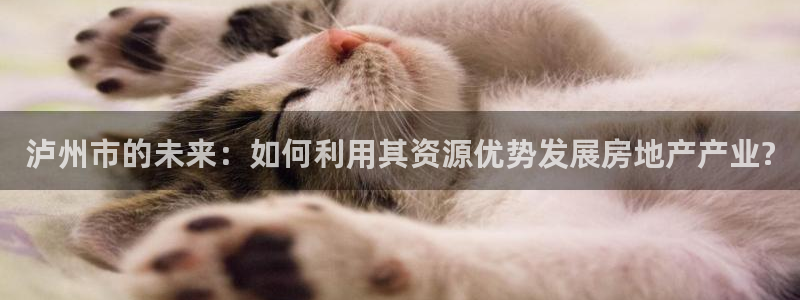 摩登7登录摇333OO：泸州市的未来：如何利用其资源优势发展