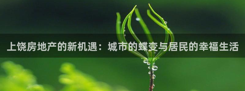 摩登5左7O667