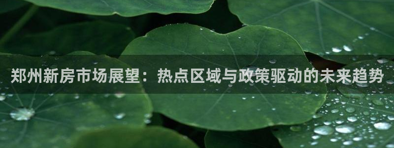 摩登7注册快333OO：郑州新房市场展望：热点区域与政策驱动