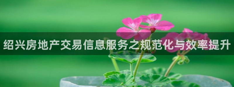 摩登7地7O667：绍兴房地产交易信息服务之规范化与效率提升