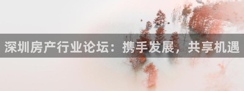 摩登招商虍金手指排名7：深圳房产行业论坛：携手发展，共享机遇