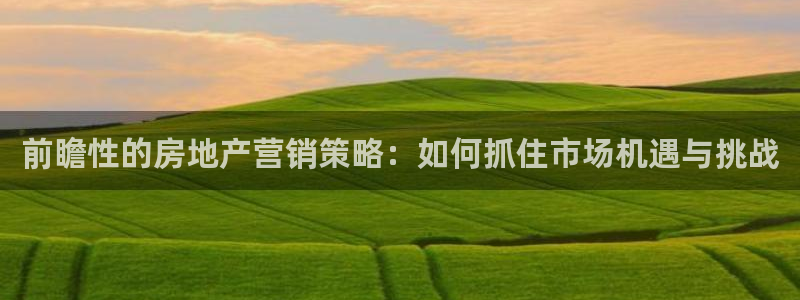 摩登6郑7O667：前瞻性的房地产营销策略：如何抓住市场机遇
