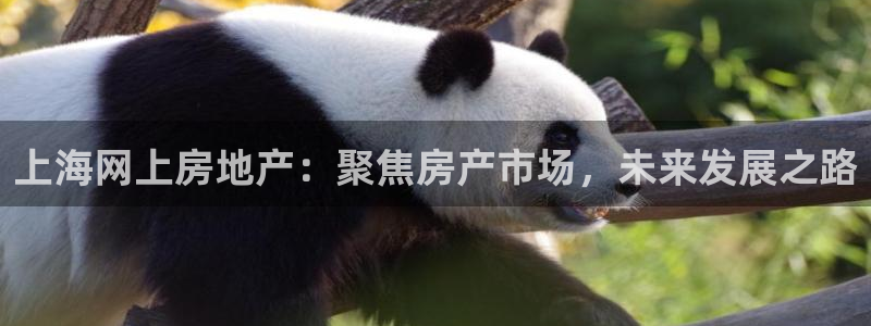 摩登4左7O667