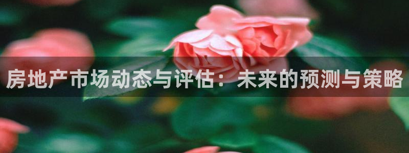 摩登3后7O667：房地产市场动态与评估：未来的预测与策略