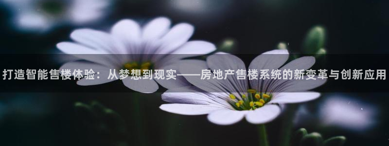 摩登7登录注册加v：打造智能售楼体验：从梦想到现实——房地产