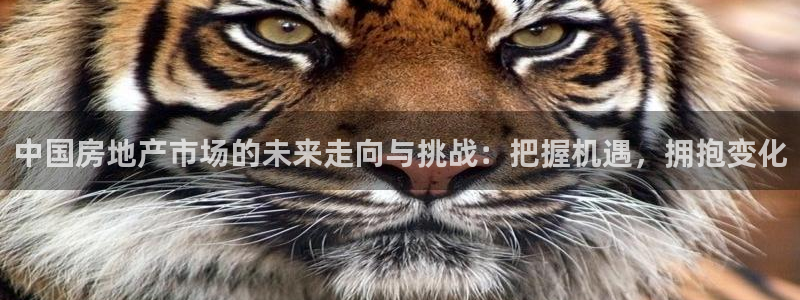 摩登7系列：中国房地产市场的未来走向与挑战：把握机遇，拥抱变