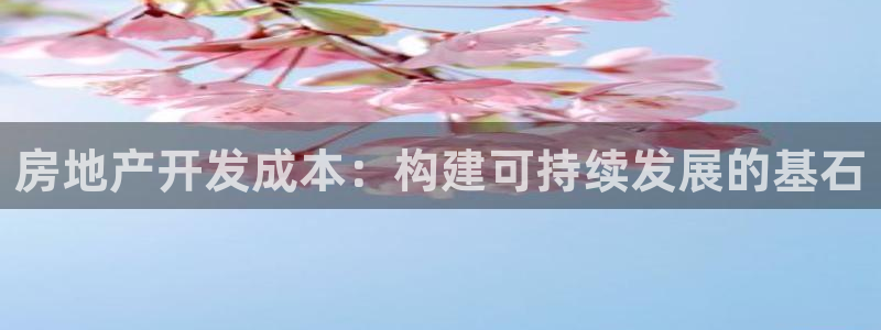 摩登7怎么联系客服：房地产开发成本：构建可持续发展的基石