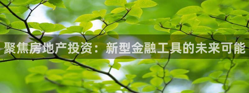 摩登7注册快333OO：聚焦房地产投资：新型金融工具的未来可