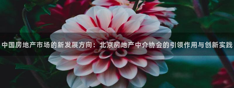 摩登7登录入口：中国房地产市场的新发展方向：北京房地产中介协