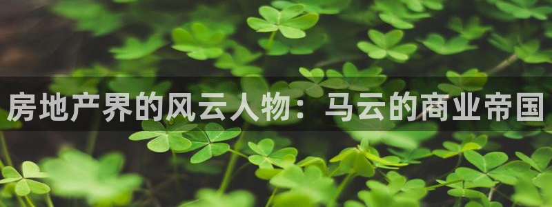 摩登7服333OO：房地产界的风云人物：马云的商业帝国