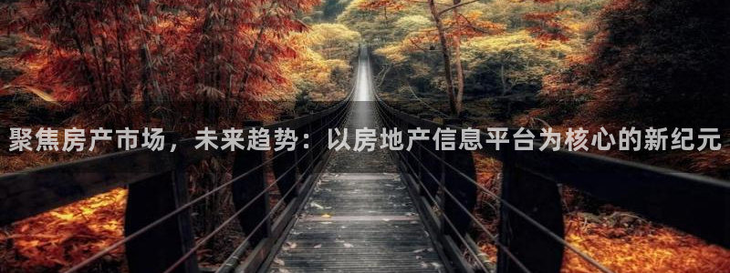 摩登7地7O667：聚焦房产市场，未来趋势：以房地产信息平台
