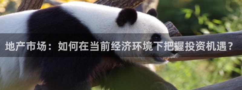 摩登7是什么：地产市场：如何在当前经济环境下把握投资机遇？