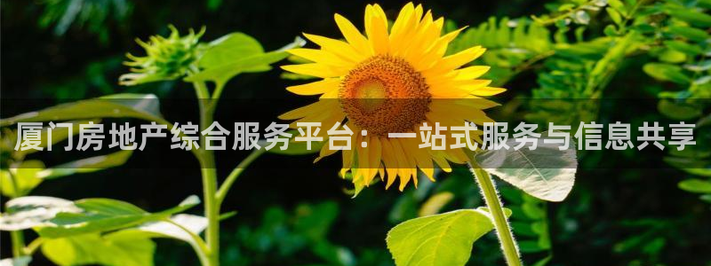 摩登7登录入口：厦门房地产综合服务平台：一站式服务与信息共享