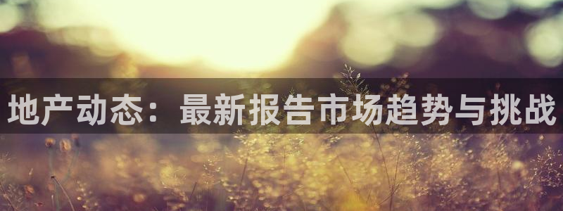 摩登7登录释333OO：地产动态：最新报告市场趋势与挑战