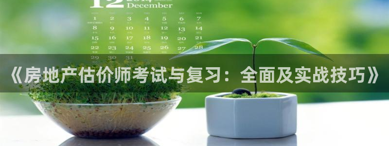 摩登7黑钱：《房地产估价师考试与复习：全面及实战技巧》