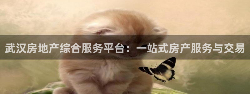 摩登7app下载：武汉房地产综合服务平台：一站式房产服务与交
