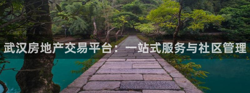 摩登7股东：武汉房地产交易平台：一站式服务与社区管理