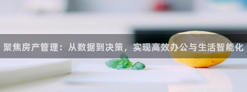 摩登5天7O667：聚焦房产管理：从数据到决策，实现高效办公