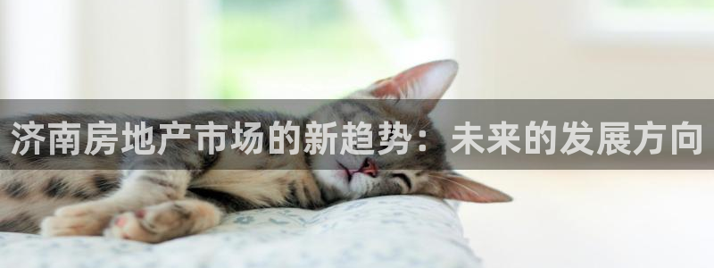 摩登7登陆平台：济南房地产市场的新趋势：未来的发展方向