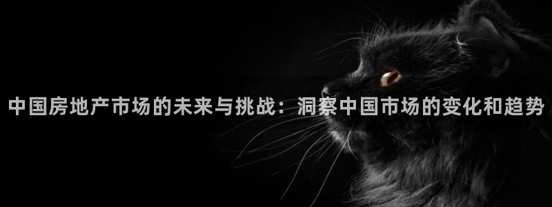 摩登7官网的详细介绍：中国房地产市场的未来与挑战：洞察中国市