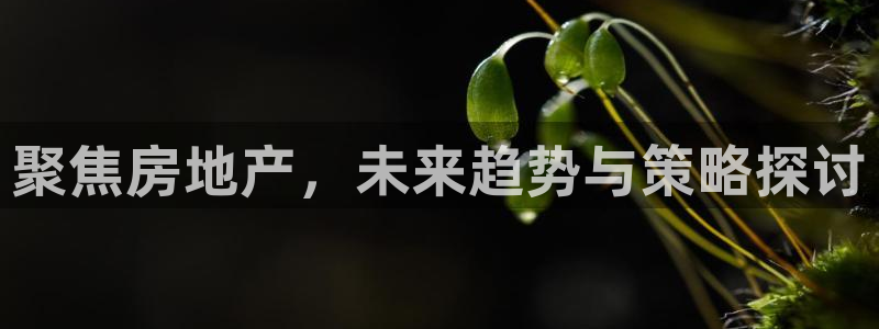摩登7黑钱：聚焦房地产，未来趋势与策略探讨