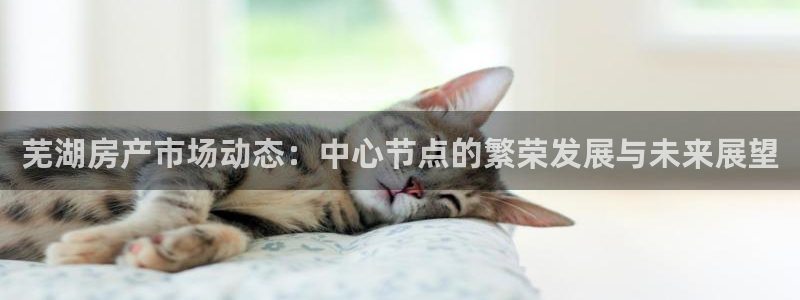 摩登7 1：芜湖房产市场动态：中心节点的繁荣发展与未来展望
