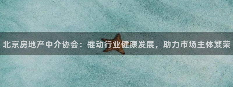 摩登7注册：北京房地产中介协会：推动行业健康发展，助力市场主