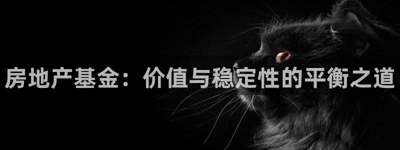 摩登7安全吗：房地产基金：价值与稳定性的平衡之道