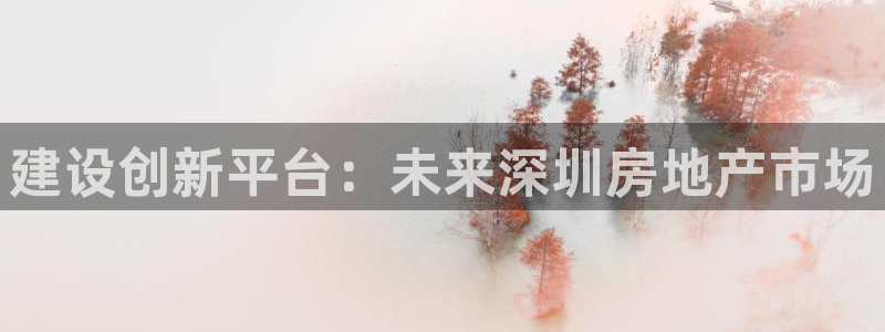 摩登7登录契333OO：建设创新平台：未来深圳房地产市场