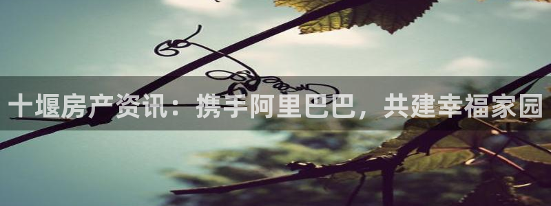 摩登7后3299O7