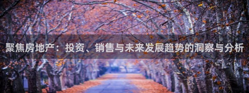 摩登7下载地址：聚焦房地产：投资、销售与未来发展趋势的洞察与