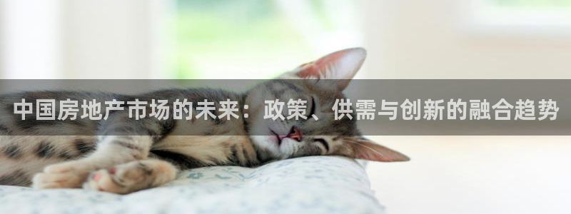 摩登7招商382223：中国房地产市场的未来：政策、供需与创
