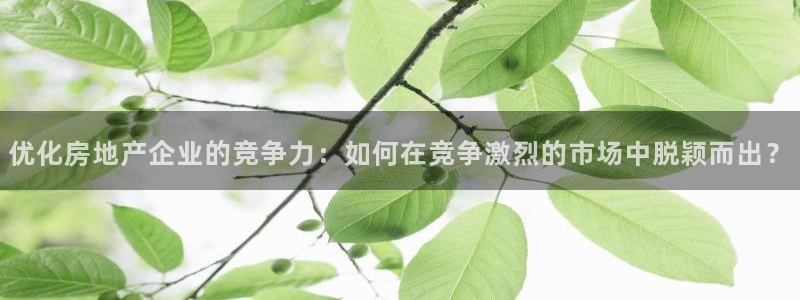 摩登7注册平台：优化房地产企业的竞争力：如何在竞争激烈的市场