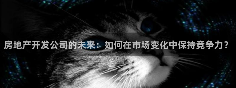 摩登7天3299O7：房地产开发公司的未来：如何在市场变化中