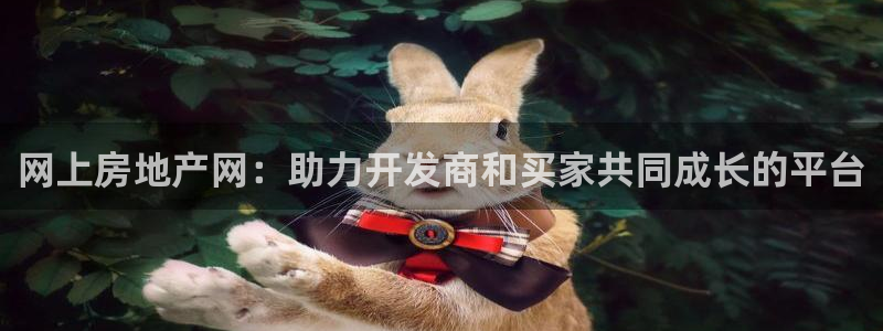 摩登7后3299O7：网上房地产网：助力开发商和买家共同成长