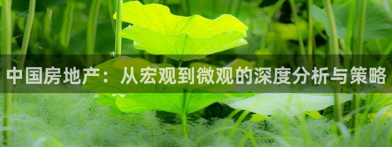 摩登3天7O667：中国房地产：从宏观到微观的深度分析与策略